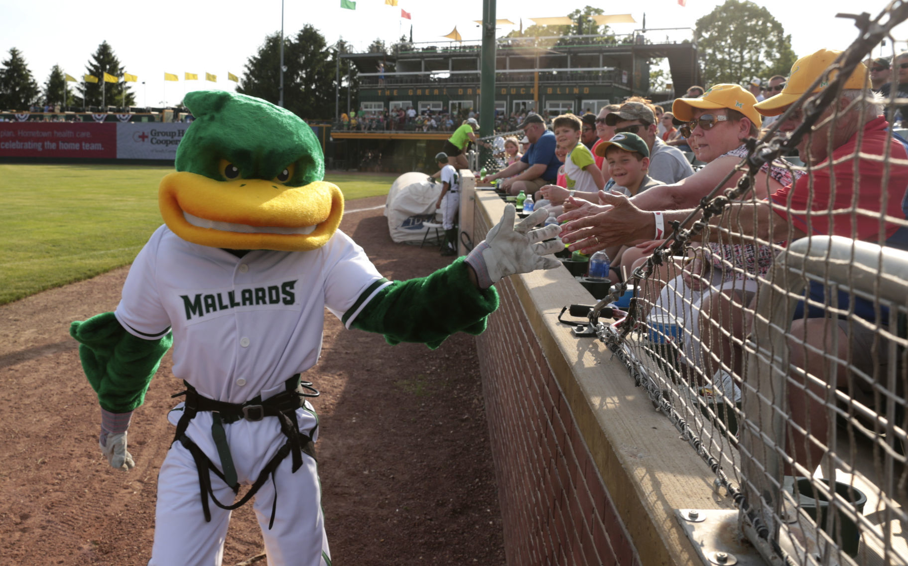 Maynard Mallard